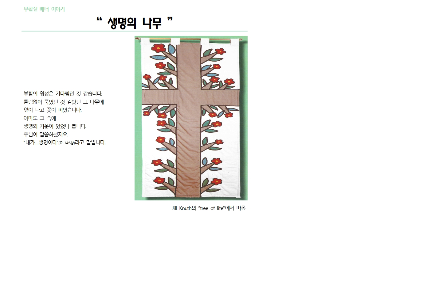 ＃11_배너이야기_생명의나무001.jpg