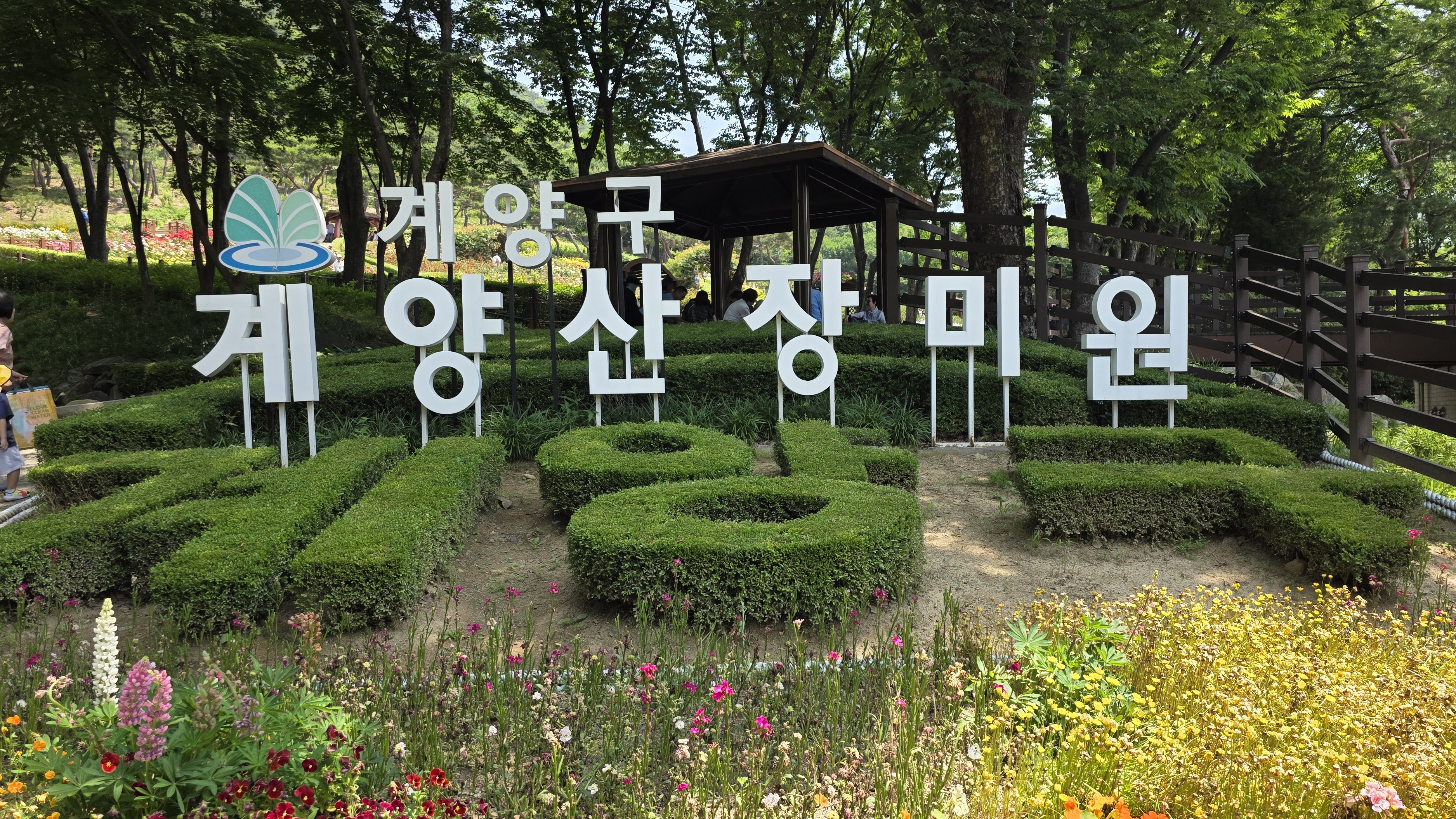 KakaoTalk_20260603_184114962_17.jpg